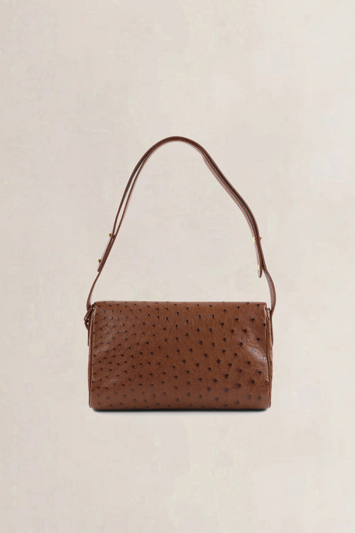Delvaux Brown Ostrich Leather Passrelle Crossbody Bag