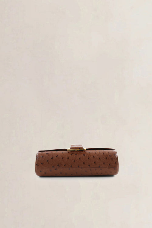 Delvaux Brown Ostrich Leather Passrelle Crossbody Bag