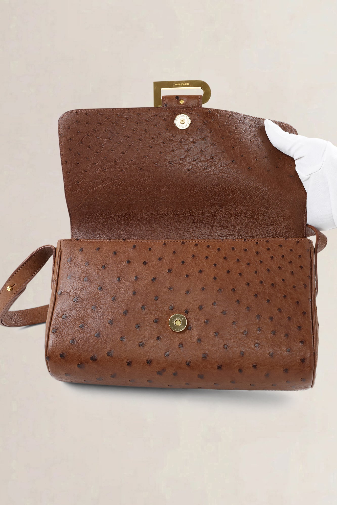 Delvaux Brown Ostrich Leather Passrelle Crossbody Bag