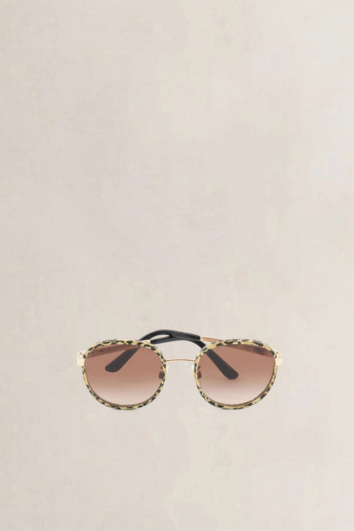 Dolce & Gabbana Brown Sunglasses