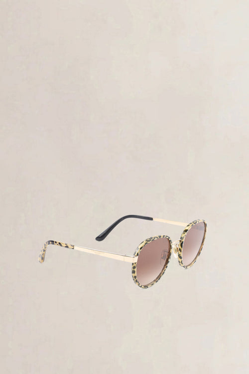 Dolce & Gabbana Brown Sunglasses