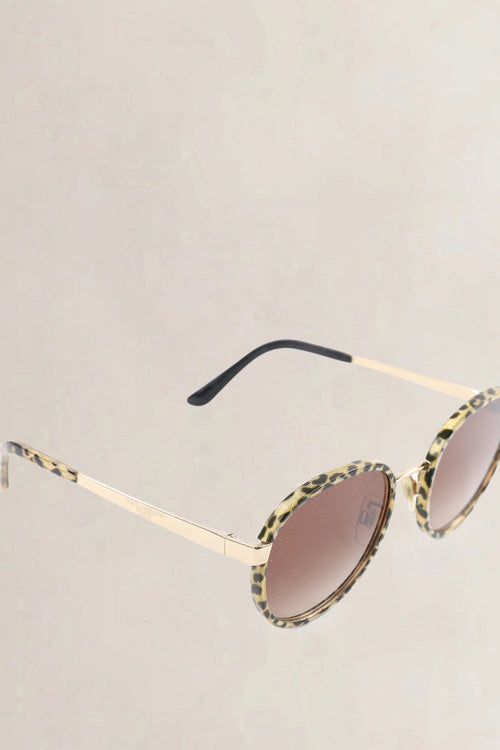 Dolce & Gabbana Brown Sunglasses