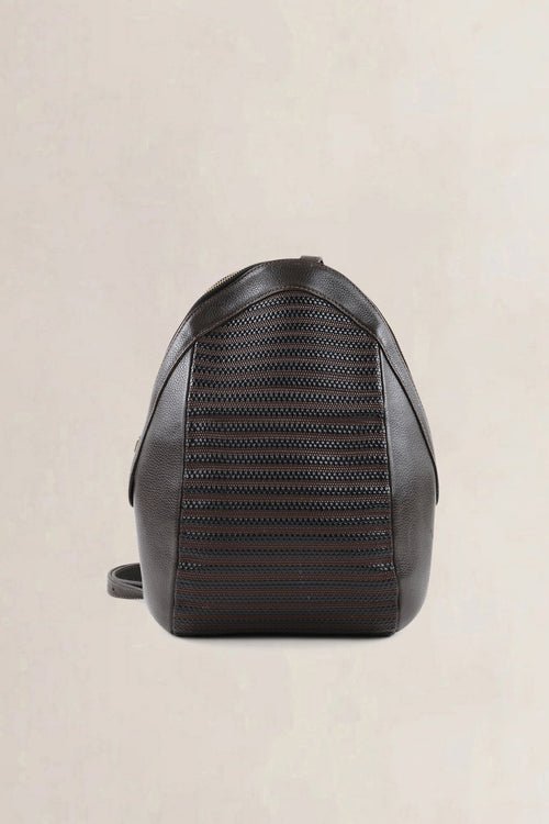 Delvaux Brown Toile De Cuir Amitié Backpack