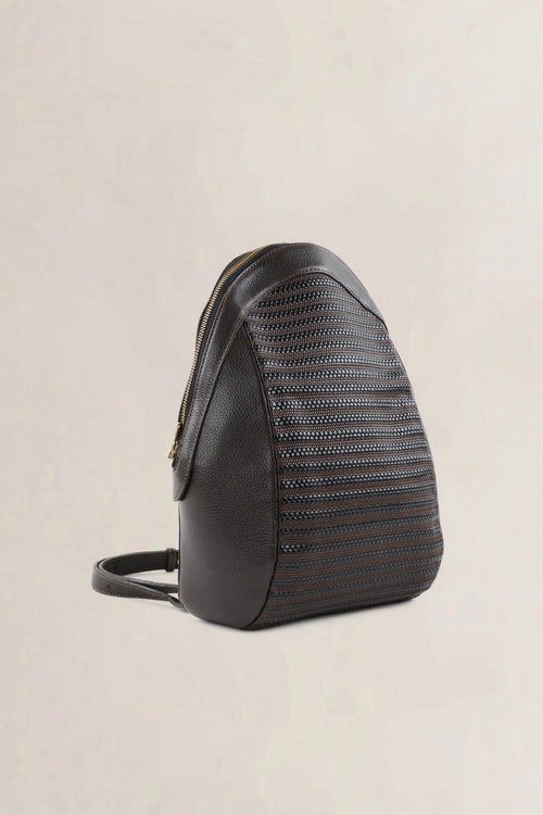 Delvaux Brown Toile De Cuir Amitié Backpack