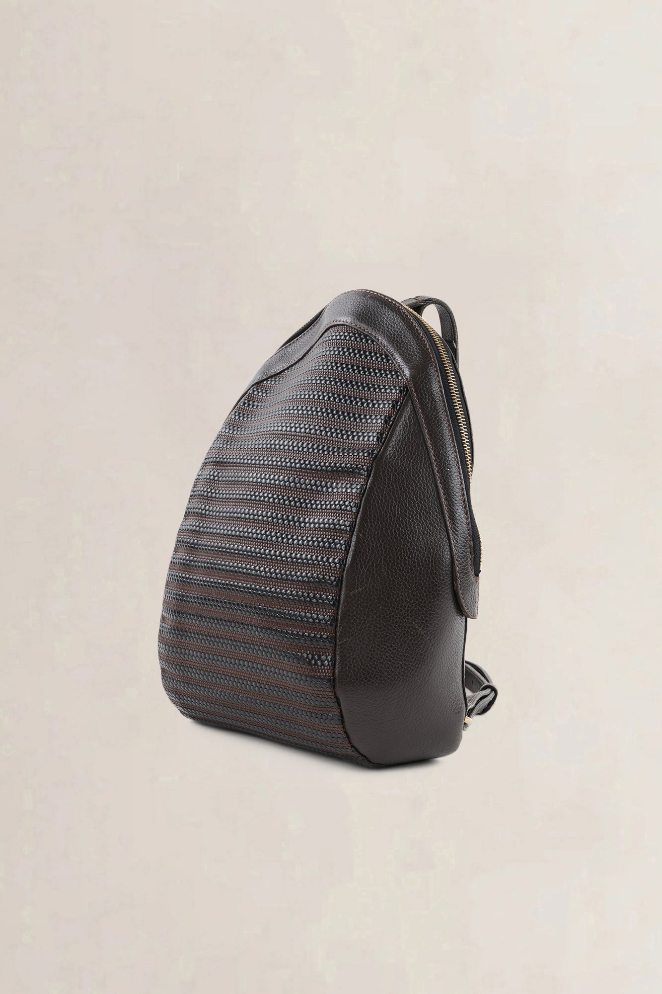 Delvaux Brown Toile De Cuir Amitié Backpack