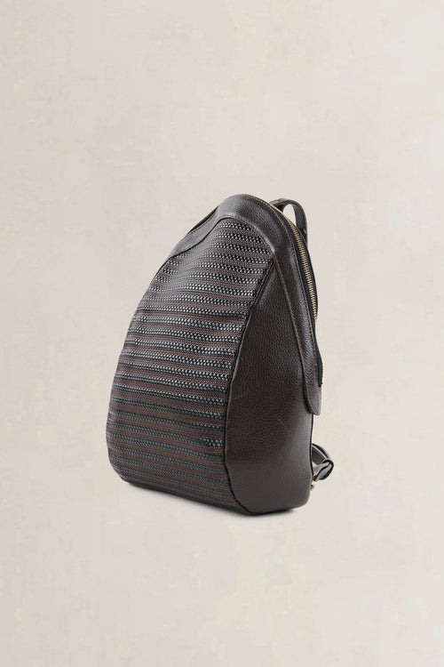 Delvaux Brown Toile De Cuir Amitié Backpack