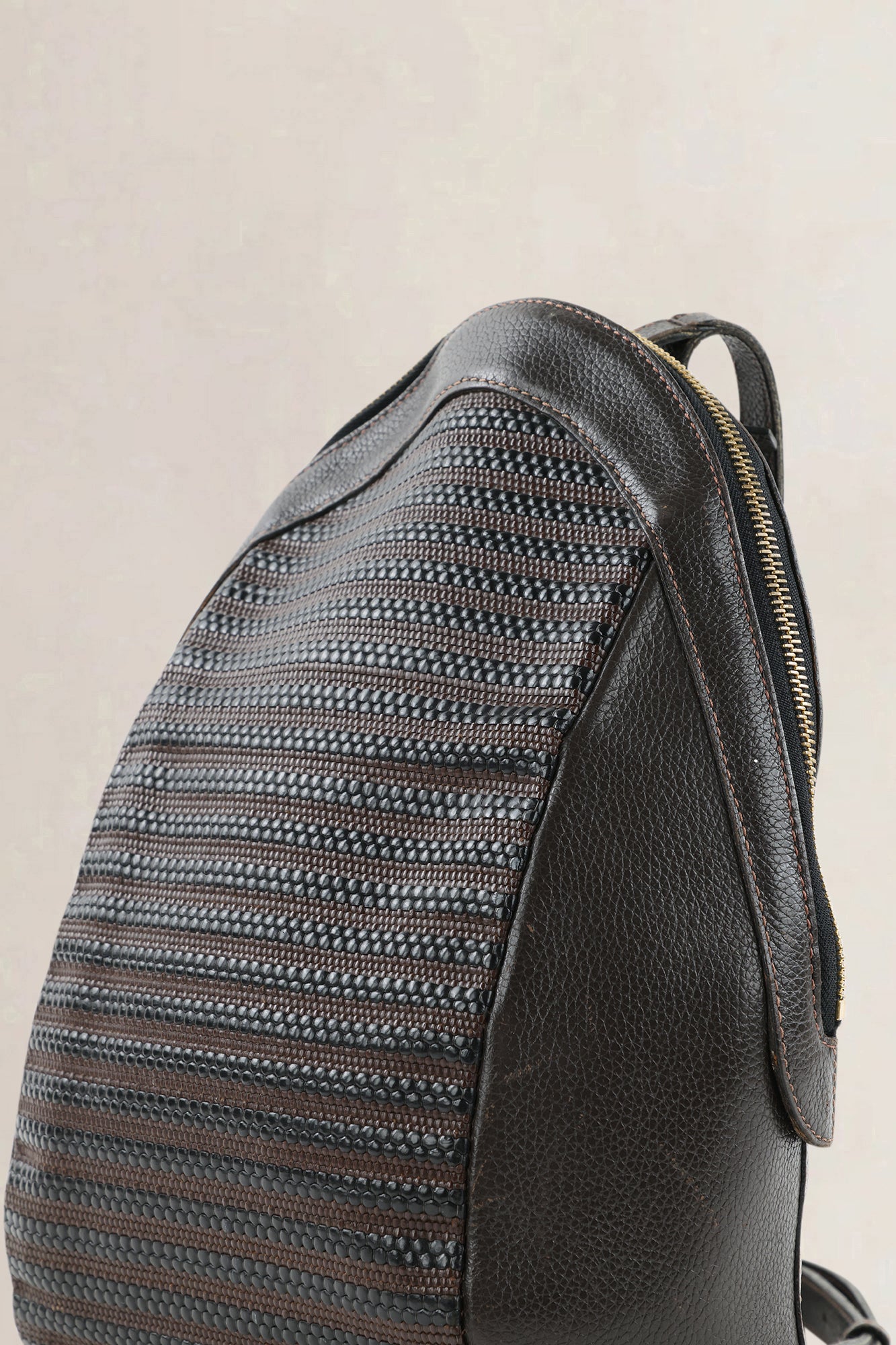 Delvaux Brown Toile De Cuir Amitié Backpack