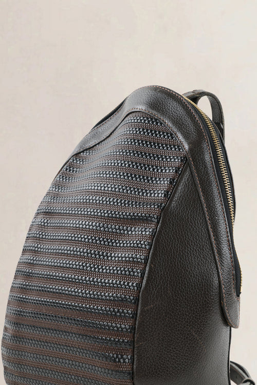 Delvaux Brown Toile De Cuir Amitié Backpack