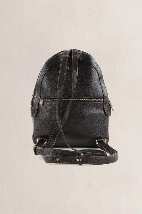 Delvaux Brown Toile De Cuir Amitié Backpack
