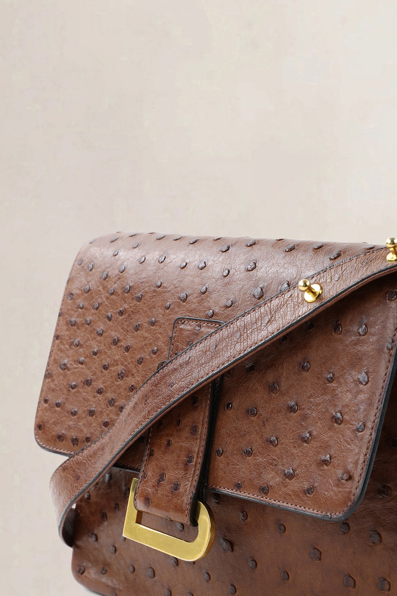 Delvaux Poirier Tabac Ostrich Leather Crossbody Bag