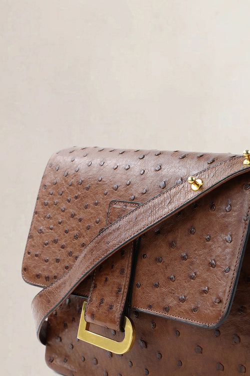 Delvaux Poirier Tabac Ostrich Leather Crossbody Bag