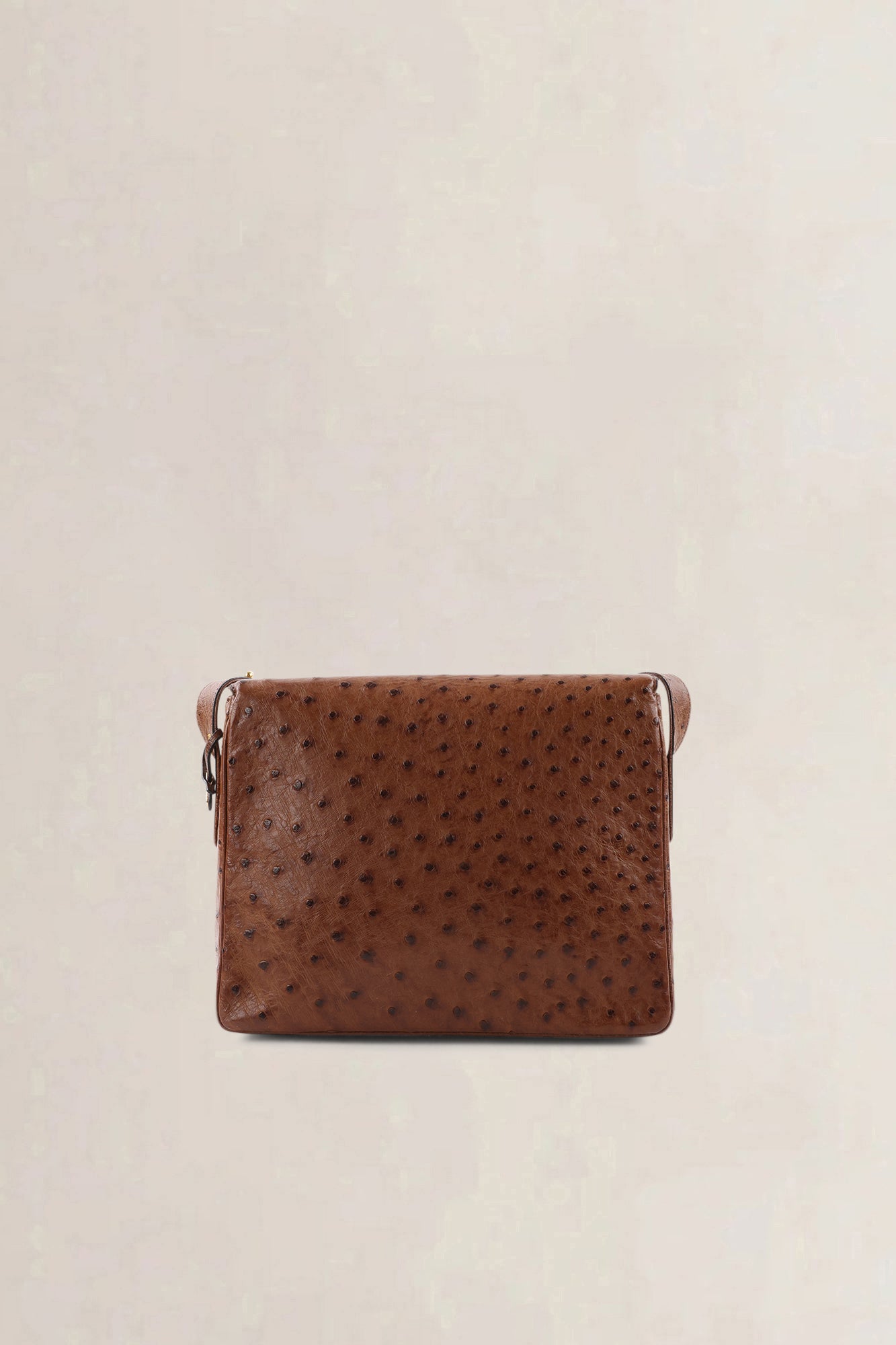 Delvaux Poirier Tabac Ostrich Leather Crossbody Bag