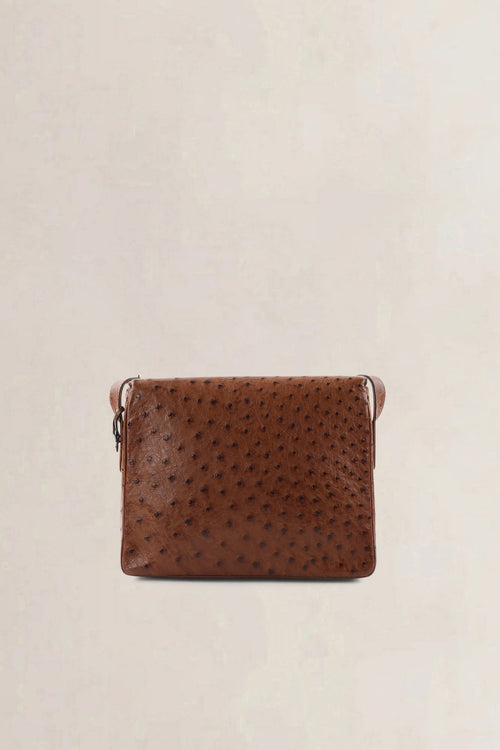 Delvaux Poirier Tabac Ostrich Leather Crossbody Bag