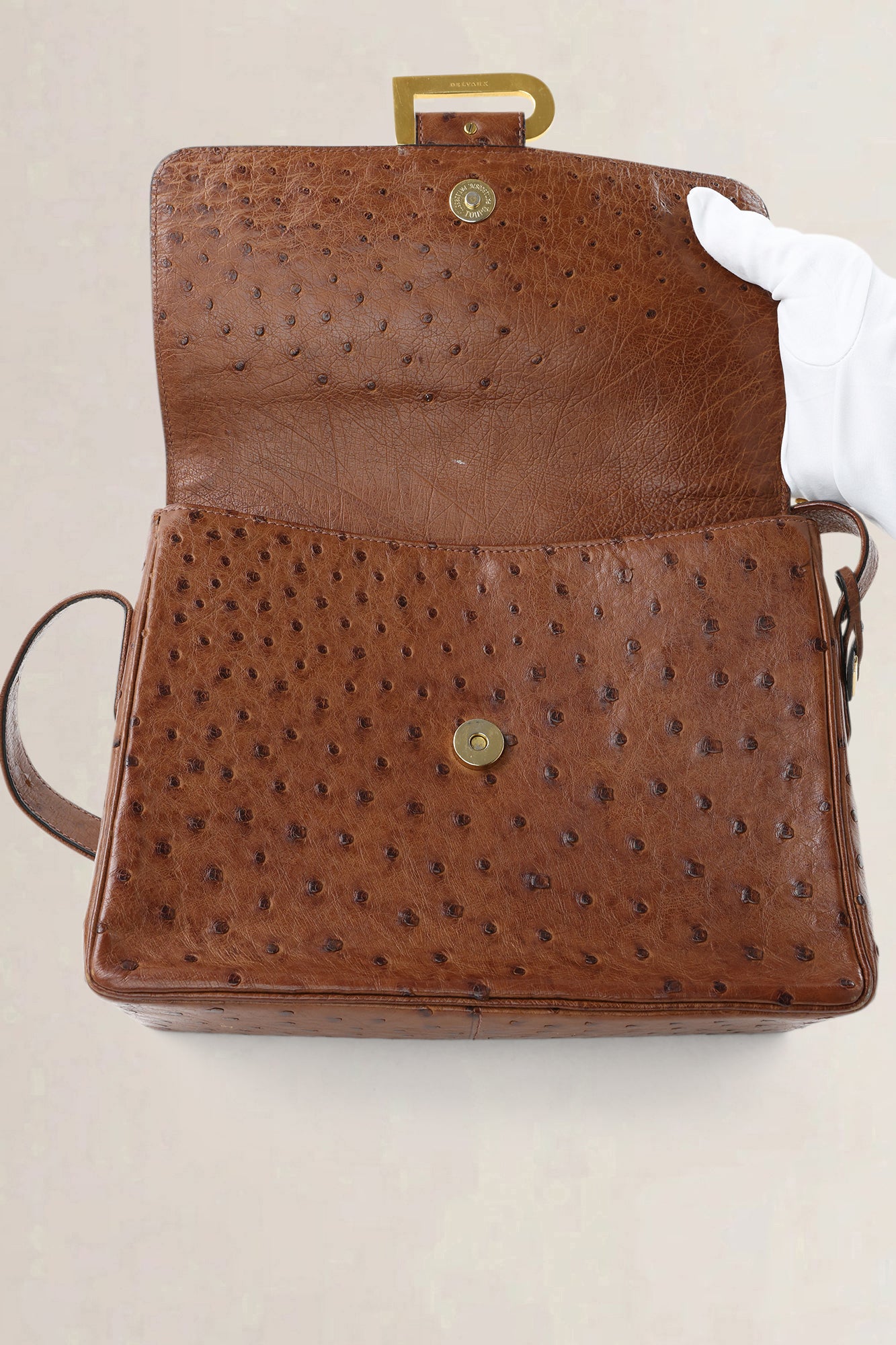 Delvaux Poirier Tabac Ostrich Leather Crossbody Bag