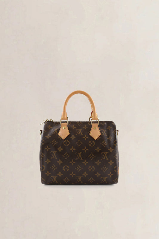 Louis Vuitton Speedy Bandoulière 25 — vintage