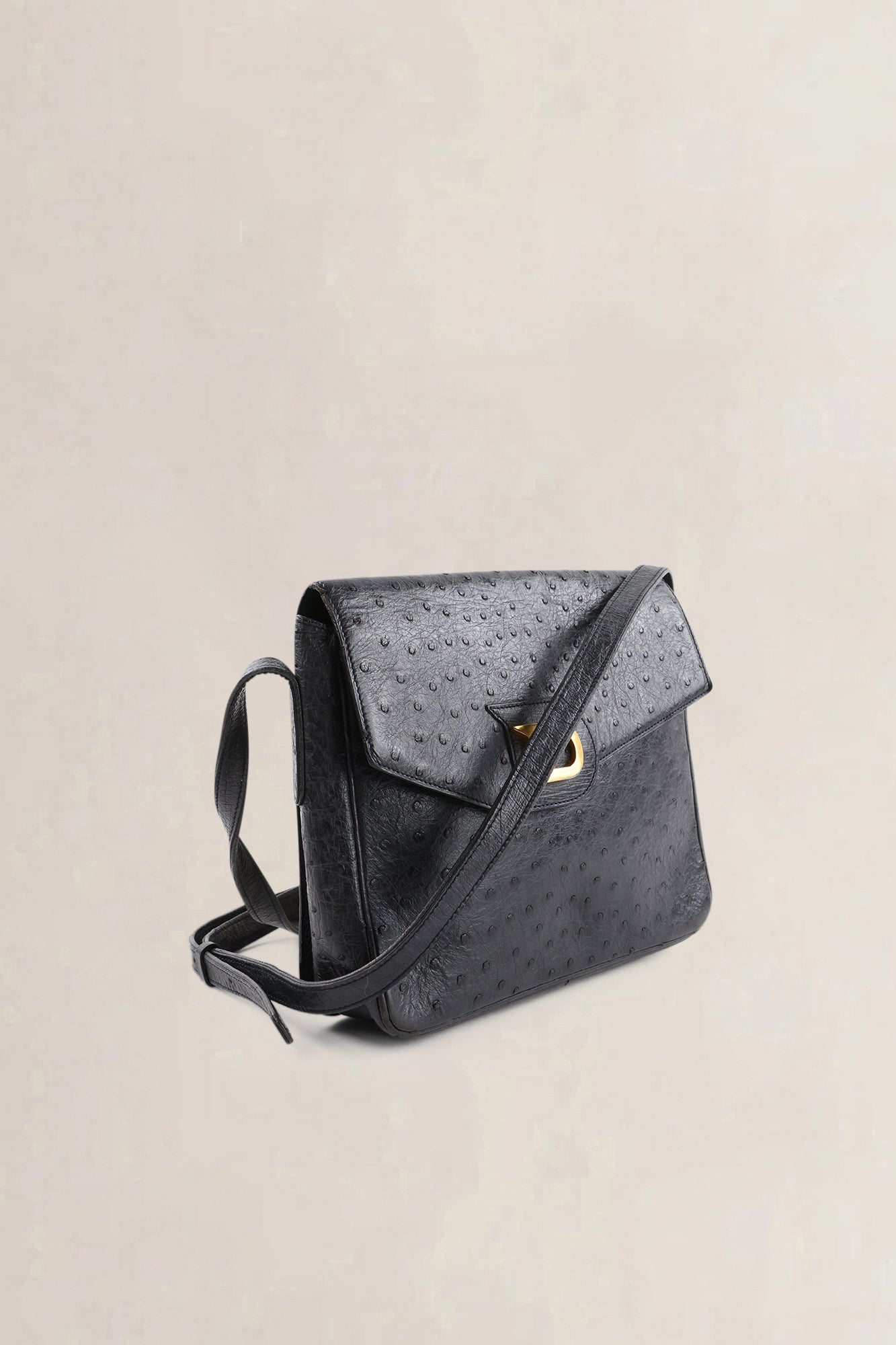Delvaux Black Ostrich Leather Crossbody Bag