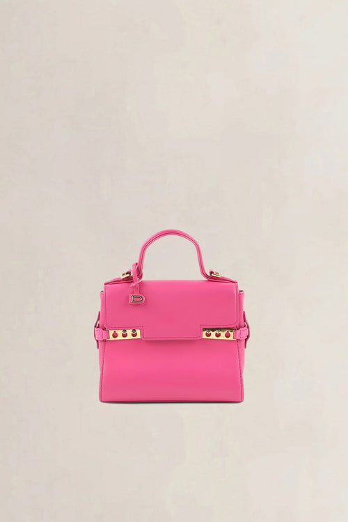 Delvaux Micro Rose Indien Tempête Crossbody Bag
