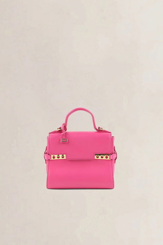 Delvaux Micro Rose Indien Tempête Crossbody Bag