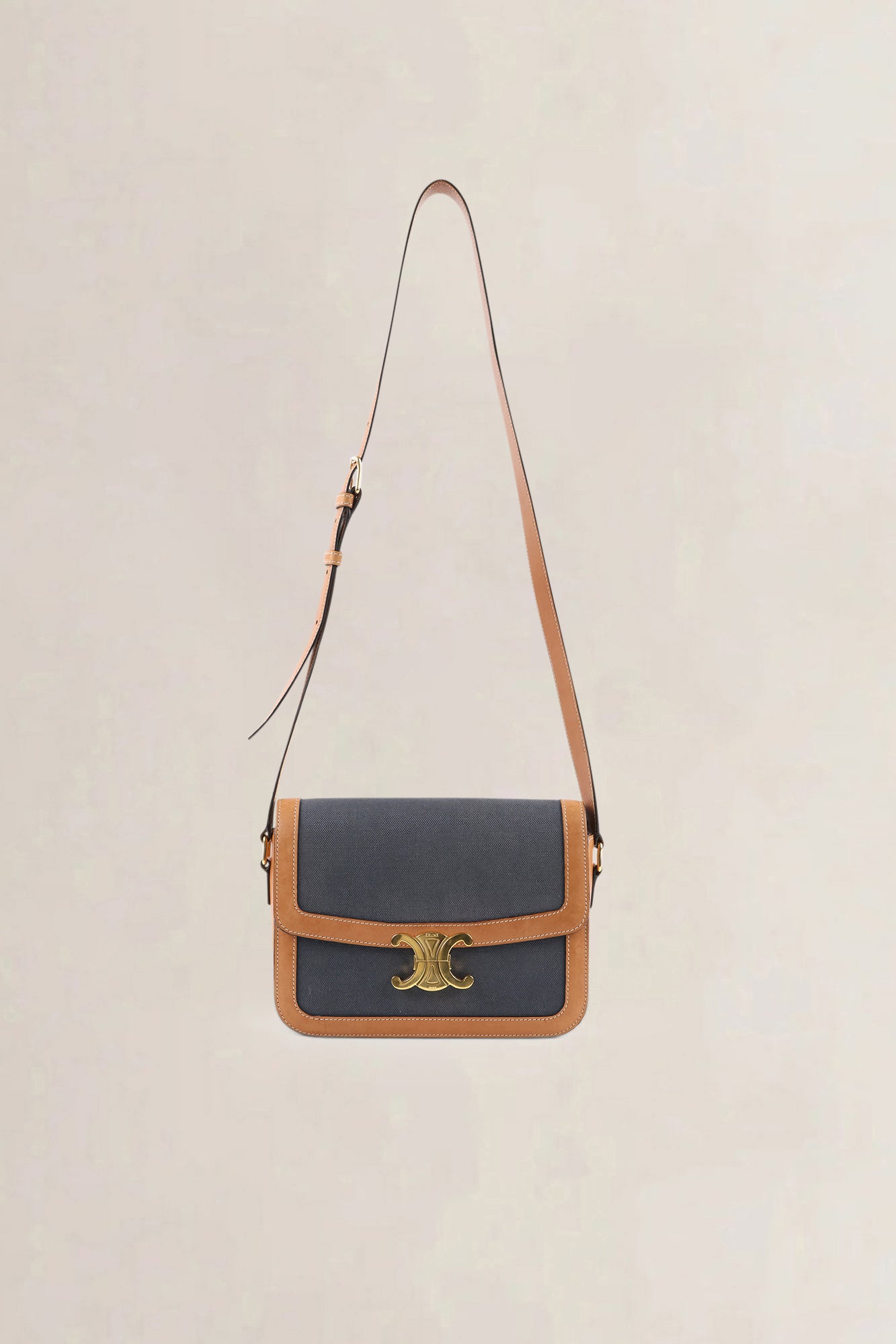 Céline Brown/Navy Leather/Canvas Medium Triomphe Crossbody Bag