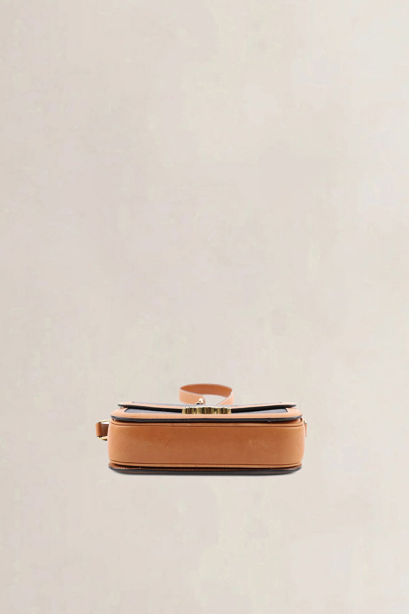 Céline Brown/Navy Leather/Canvas Medium Triomphe Crossbody Bag