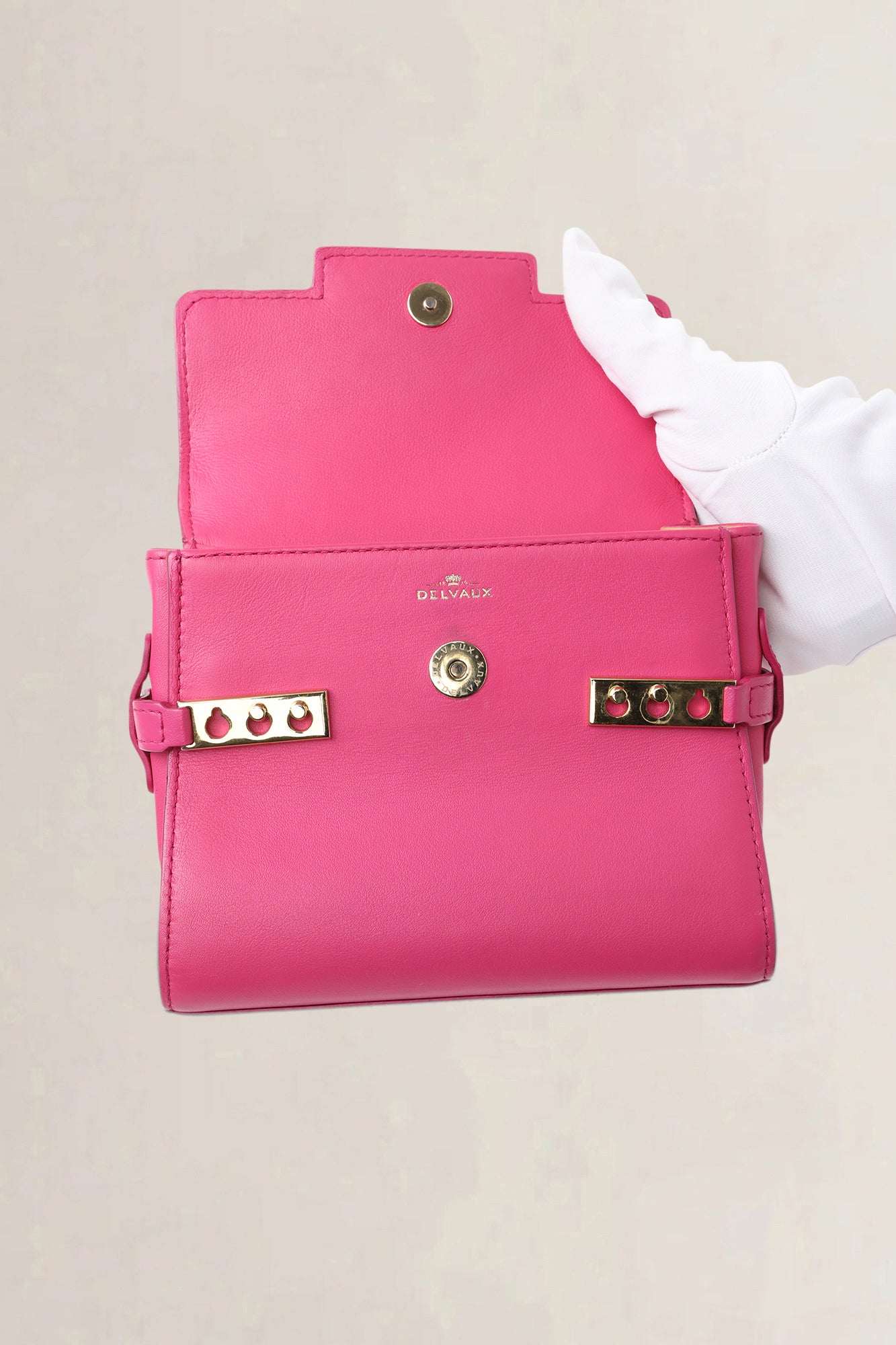 Delvaux Micro Rose Indien Tempête Crossbody Bag