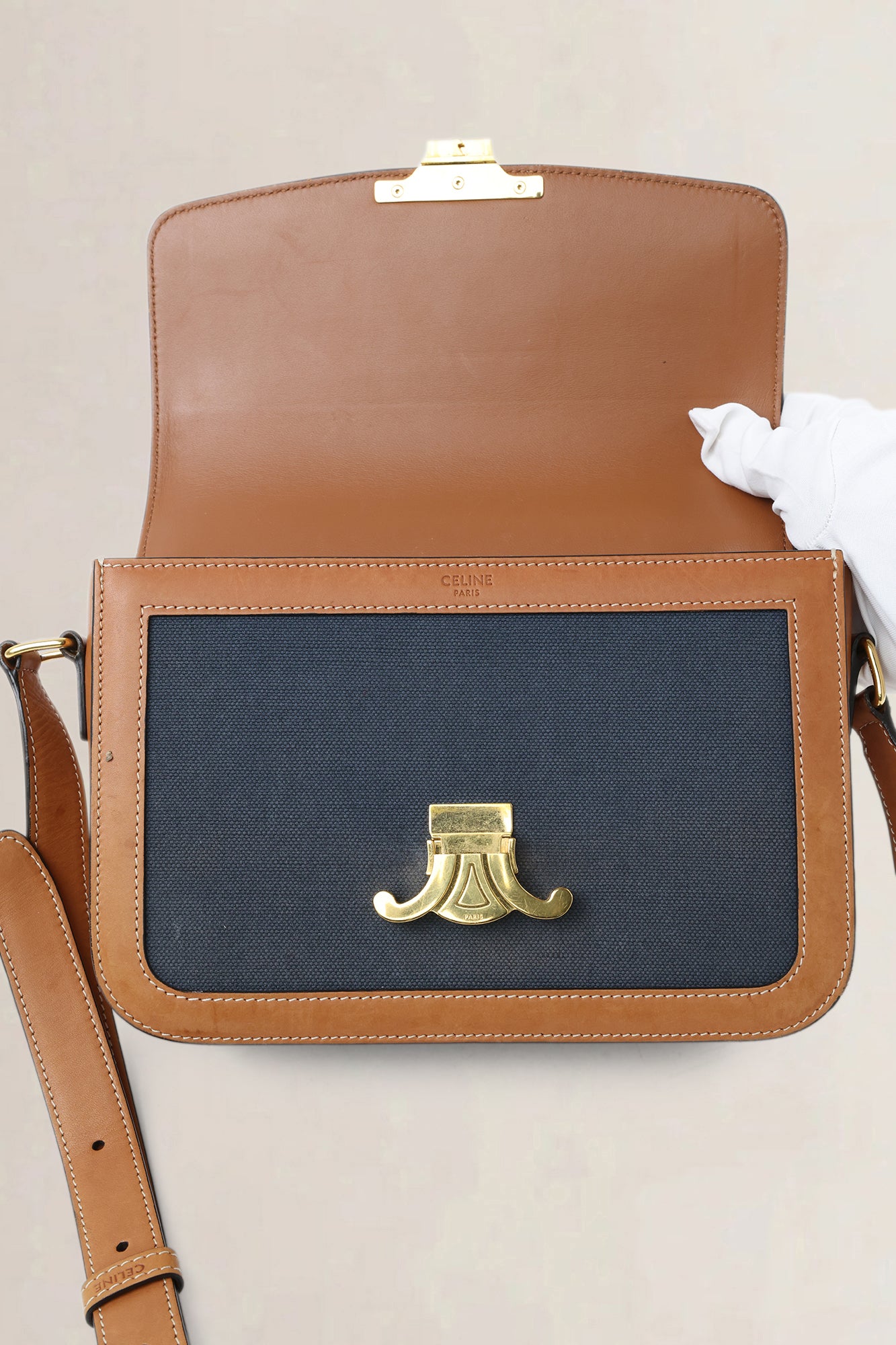 Céline Brown/Navy Leather/Canvas Medium Triomphe Crossbody Bag