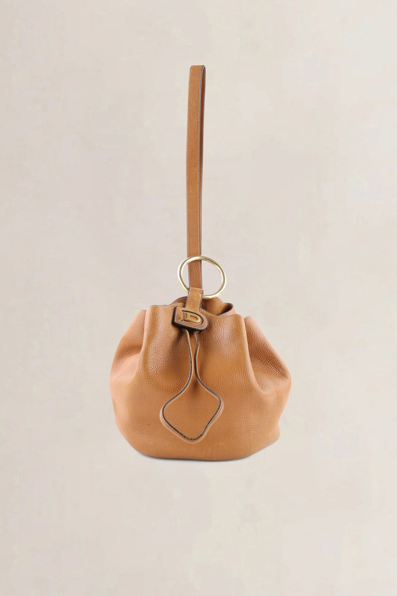 Delvaux Camel Jumping Calf Rose des Vents GM Crossbody Bag
