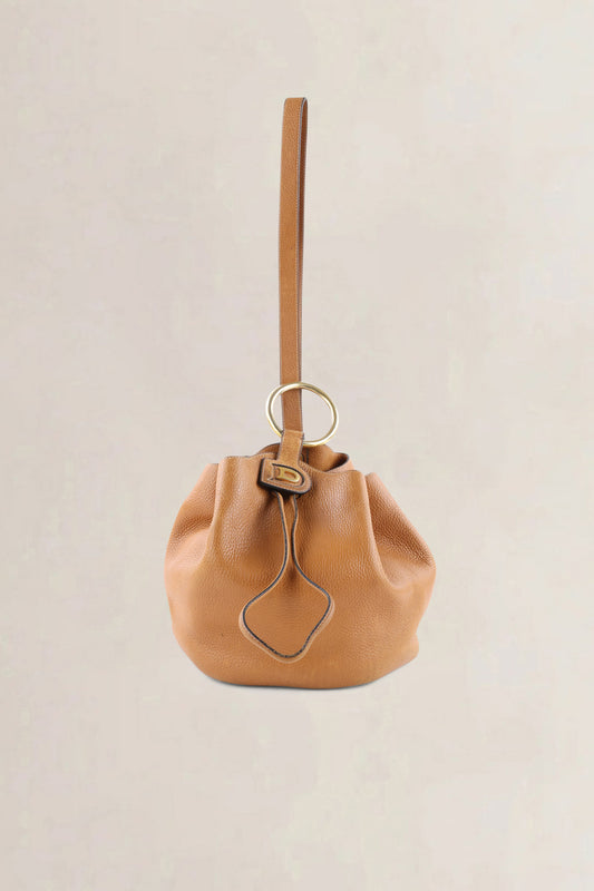 Delvaux Camel Jumping Calf Rose des Vents GM Crossbody Bag