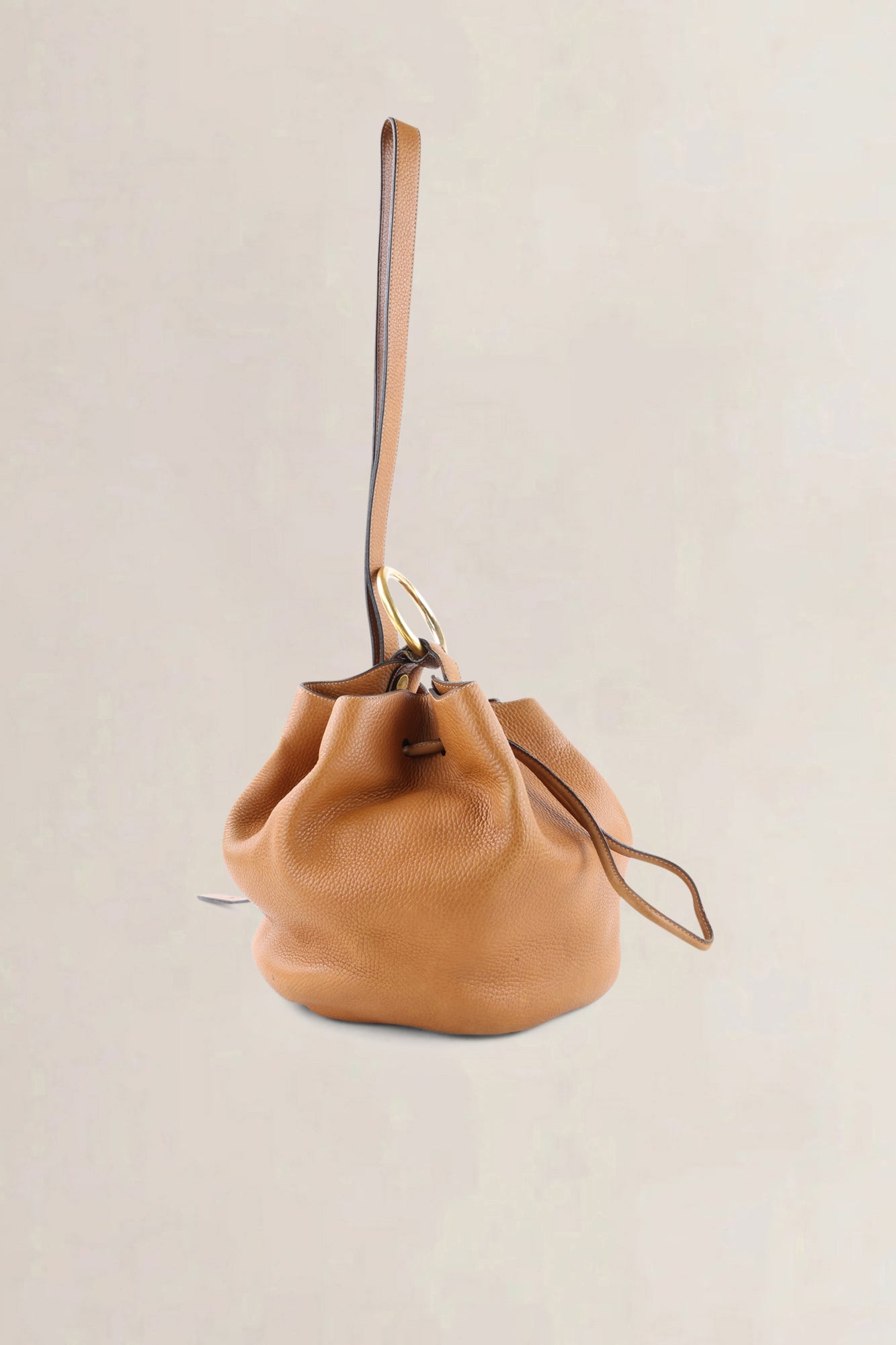 Delvaux Camel Jumping Calf Rose des Vents GM Crossbody Bag