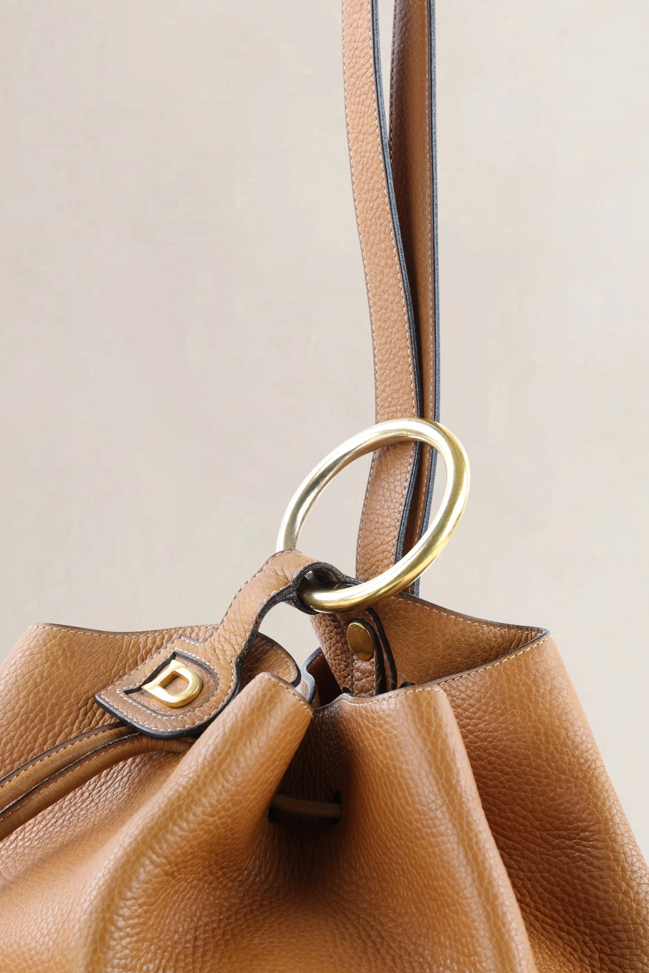 Delvaux Camel Jumping Calf Rose des Vents GM Crossbody Bag