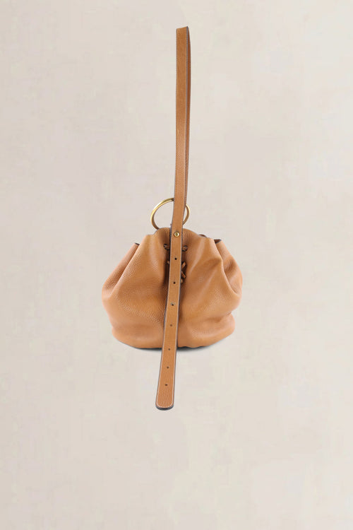 Delvaux Camel Jumping Calf Rose des Vents GM Crossbody Bag