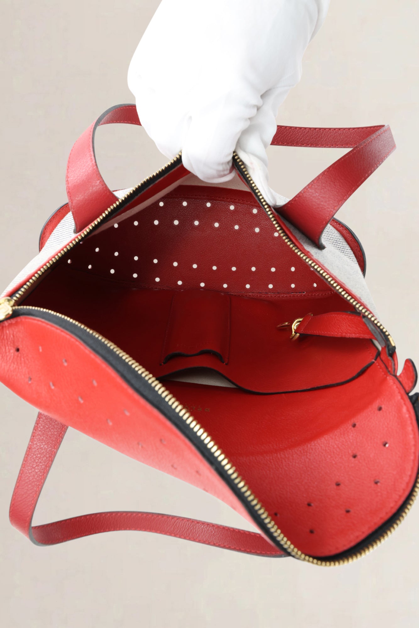 Delvaux Red/Canvas Songe Top Handle Bag