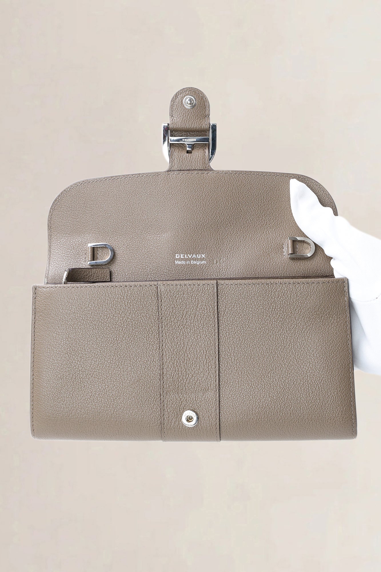 Delvaux Tourterelle Brilliant Long Wallet On Chain