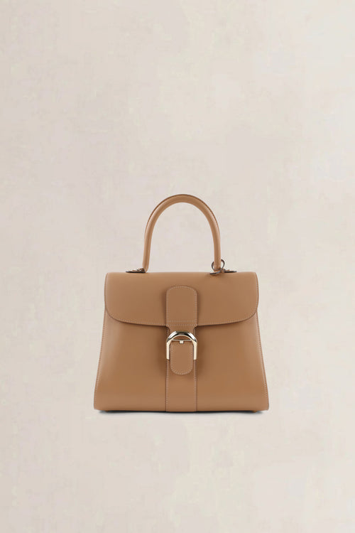 Delvaux Vison Brillant MM Camaïeux Magic Crossbody Bag