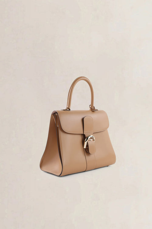 Delvaux Vison Brillant MM Camaïeux Magic Crossbody Bag