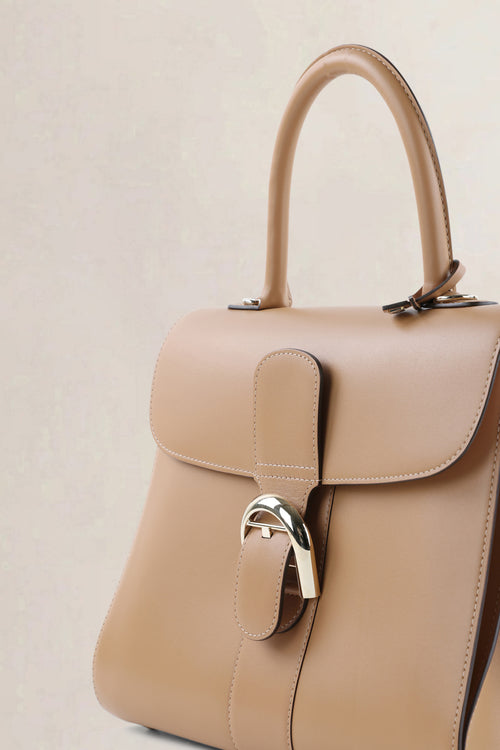 Delvaux Vison Brillant MM Camaïeux Magic Crossbody Bag