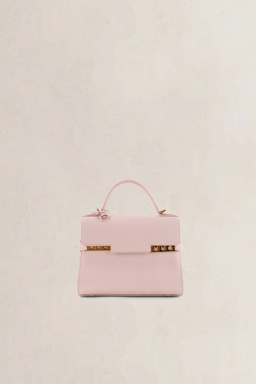 Delvaux Pink Tempête Mini Crossbody Bag