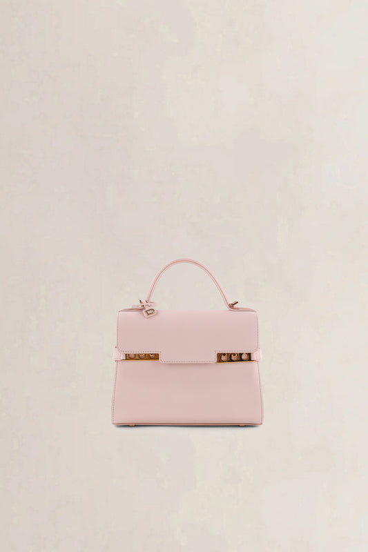 Delvaux Pink Tempête Mini Crossbody Bag