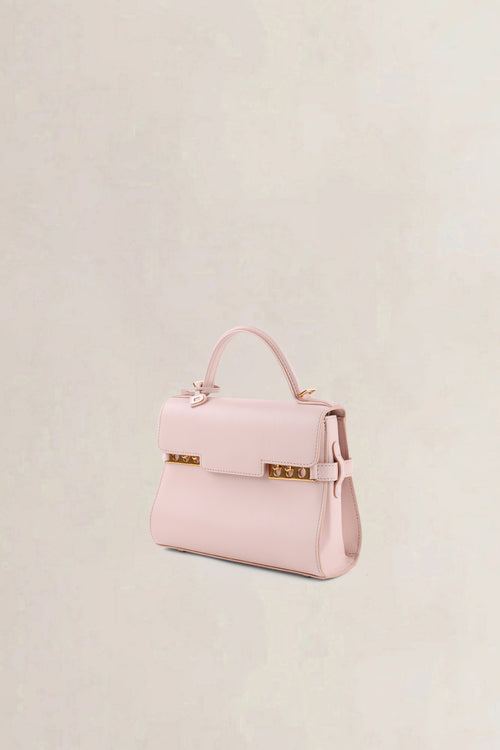 Delvaux Pink Tempête Mini Crossbody Bag