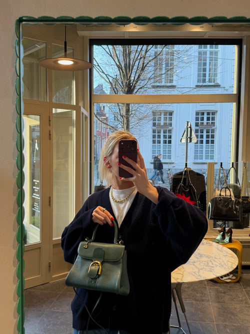Delvaux Brillant PM Green Crossbody Bag