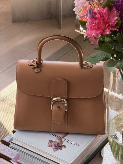 Delvaux Vison Brillant MM Camaïeux Magic Crossbody Bag