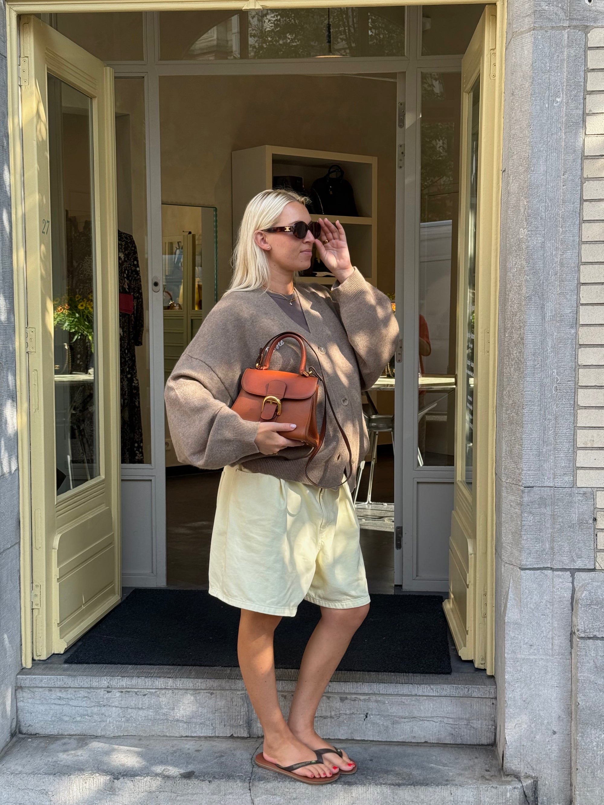 Delvaux Camel Jumping Calf Brillant PM Crossbody Bag